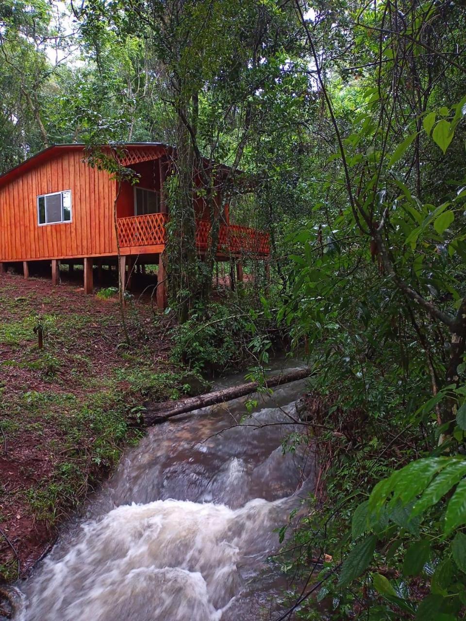 Yasi Yatere Reserva Agroecologica El Soberbio Exterior photo